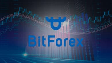Обзор криптовалютной биржи BitForex