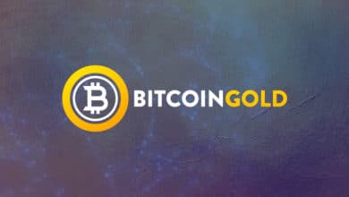 Обзор криптовалюты Bitcoin Gold