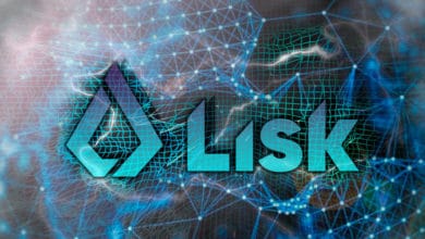 Подробный обзор криптовалюты LISK