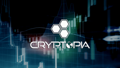 Биржа Cryptopia возобновляет работу после взлома