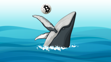 Рост биткоина связан с действиями одного «кита»?